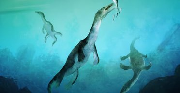 Мисливці за Лох-несським чудовиськом не збожеволіли: тепер усе сходиться