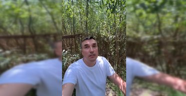 Досягають 9 метрів у висоту: на дні Каховського водосховища виріс густий вербовий ліс (відео)