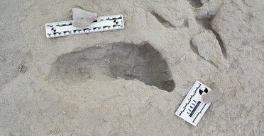 Маленькие следы с большой историей: отпечатки ног древних людей раскрыли неожиданный факт (фото)