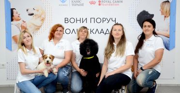 Терапія із собаками: Royal Canin Foundation продовжує розвивати каністерапію в Україні
