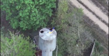 ВСУ установили флаг в Казачьих Лагерях и ловят оккупантов "на живца" (видео)