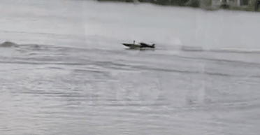 Российский ответ на Magura V5 и SeaBaby. Чем угрожает Украине новый дрон "Афалина"