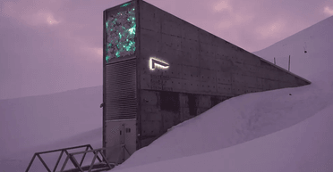 Майже нікого не пускають: у "сховищі Судного дня" зберігається важливе для виживання насіння