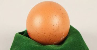 Куплене у супермаркеті: куряче яйце ідеальної форми принесло господарю багатство (фото)