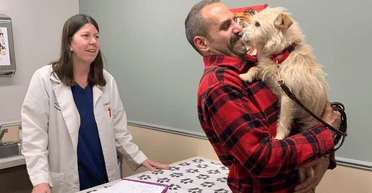 За 3200 км від дому: собака, який зник 9 місяців тому, повернувся до господарів (відео)