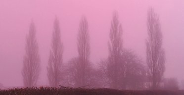 Розовый туман напугал британцев: метеорологи дали объяснение (видео)