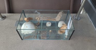 Задіяли навіть німецьку поліцію: чому 1000-річні останки потребують сучасного розслідування