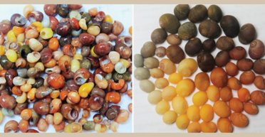 Tiffany & Co. из верхнего палеолита: найдена ювелирная мастерская возрастом 42 тыс. лет (фото)