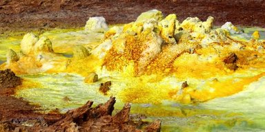 Одна форма життя мільярди років виробляє енергію "чудовими" способами: що нам відомо
