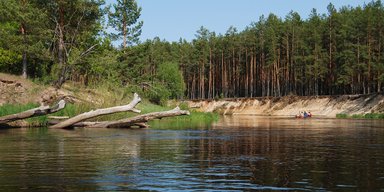 Лесные приключения. Неизведанный туристами край Украины