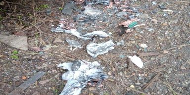 "Розірвали на шматки": прикордонники знищили рій дронів ЗС РФ під Запоріжжям (фото)