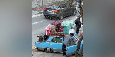 "18 кур и собака в авто": в центре Киева прохожие и полиция помогли переселенцу из Донбасса (видео)