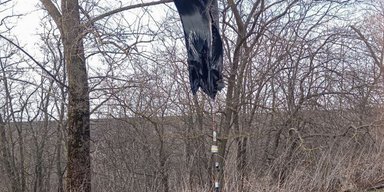 У російському Бєлгороді паніка через таємничі аеростати та невідомі датчики (фото)
