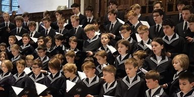 Як жаби й цвіркуни. Хлопчики-хористи поводяться по-особливому, виступаючи перед дівчатками
