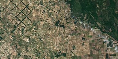 Щось руйнує їх зсередини. "Легені Землі" відмовляться працювати вже через 16 років (фото)