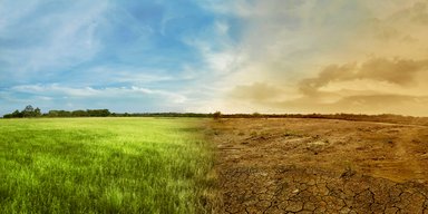 "Нас ніхто не слухає": науковиця попередила українців про тривожну зміну клімату