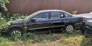 Під Києвом знайшли покинутим рідкісний австралійський седан (фото)