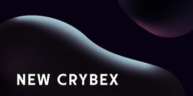 Стильно, смело, инновационно: новый сайт Crybex