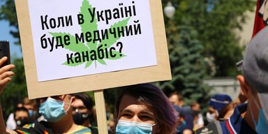 Зеленое разочарование. Почему легализация каннабиса не ведет к уменьшению черного рынка