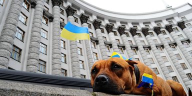 Борьба части и целого. Почему маленькие успехи не всегда ведут к большим победам
