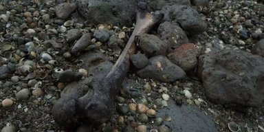 Можно добраться только на каяках: самый страшный остров Британии привлекает "черных" туристов (фото)
