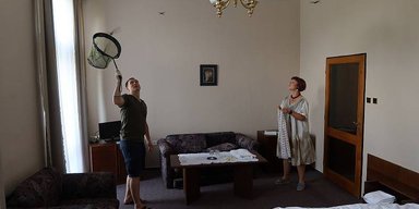 Забыли закрыть окно: в Чехии номер с туристами заполонили летучие мыши (фото)