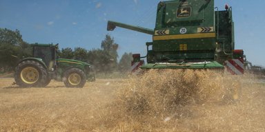 Эмбарго на украинское зерно: Польше угрожают санкции от ЕС, — СМИ
