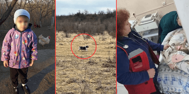 "Вірний друг Барбос": трирічного хлопчика з Вінниччини врятував собака (фото, відео)