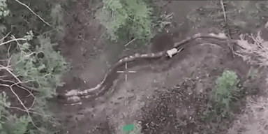 Военные ВСУ с помощью дрона освободили из плена РФ украинского бойца (видео)