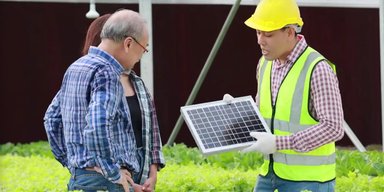 Не тільки добувають енергію: експерти виявили несподіваний ефект від сонячних панелей