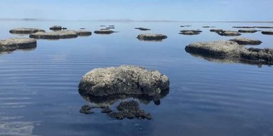 Роками вважалося, що у Великому Солоному озері живуть лише дві тварини: але там ховається щось іще