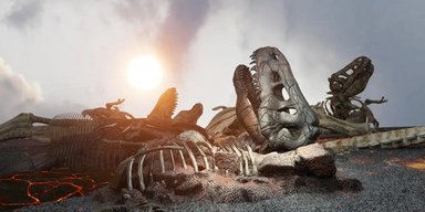 Непереможні істоти: ці тварини змогли пережити 5 масових вимирань на Землі (фото)