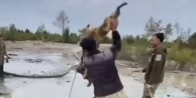 Проходить перевірку у ТЦК: поліція затримала чоловіка, який знущався із собаки на Рівненщині, бо той з'їв його обід