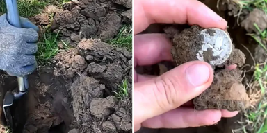 Мужчина нашел на ферме монетку, которая стоит 376 тысяч долларов (видео)