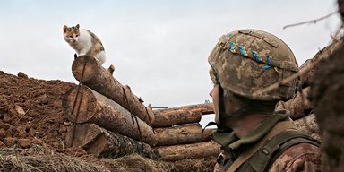 Огневой контакт. Кому выгодно обострение на фронте