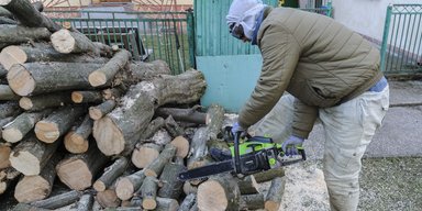 За хранение дров — в тюрьму: почему новый закон ударит по селянам, а не черным лесорубам
