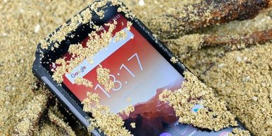 Женщина закопала телефон рядом с умершим котом: ее посадили в тюрьму на два года, детали