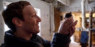 Цукерберг заплатить "тіктокерам" по 5000 доларів за реєстрацію у Facebook та Instagram