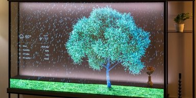 Прозрачный телевизор без проводов Signature OLED T от LG удивил глубиной картинки