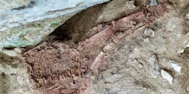 Гібриди неандертальців і людей жили після вимирання наших найближчих родичів (фото)