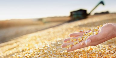 Сыты по горло. Чем грозит Украине российское эмбарго на продукты питания