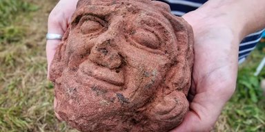 Одна из самых интересных находок: студентка обнаружила древнюю голову статуи на ферме (фото)