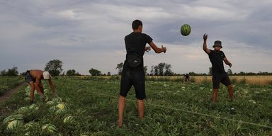 "Нема куди тікати": херсонські фермери використовують РЕБи й рушниці, боронячи врожай (фото)