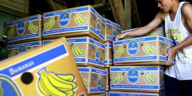 Финансировал террористов в Колумбии: известнейший банановый бренд должен выплатить жертвам миллионы долларов