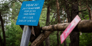 Handicap International назвала место Украины в списке жертв противопехотных мин