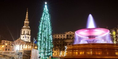 "Полумертвое дерево": елка в центре Лондона возмутила британцев (фото)