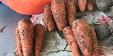 В Украине резко дорожает морковь: что стало причиной