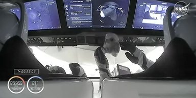 Третий полет на счету соколенка: экипаж SpaceX Crew-9 достиг МКС с плюшевой Авророй на борту (фото)