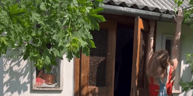 Украинка купила дом в селе с сюрпризом — чтобы доехать туда, надо отдать 200 тысяч (фото)