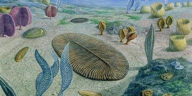 Ученые выяснили, что мы имеем гены морских чудовищ возрастом 500 млн лет